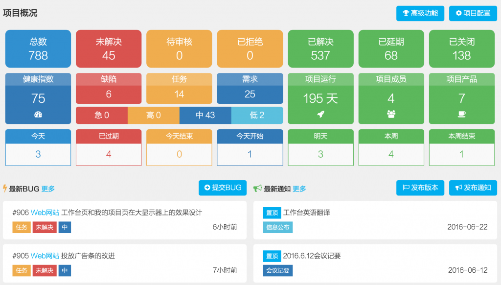 项目概况部分